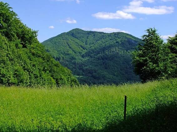 Túra: Do tiesňavy i na vrchy Manínskej vrchoviny | HIKING.SK