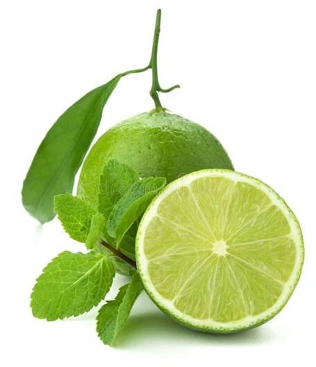 Ripe lime and mint royalty free stock images