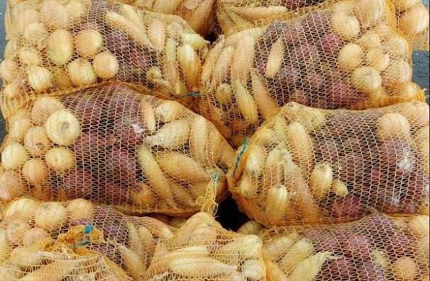 Cibulárna.CZ – Prodej račetické cibule a dalších regionálních produktů