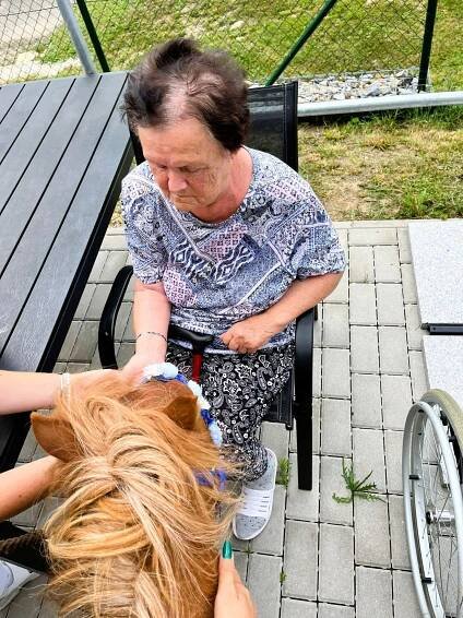 Ponyterapie Chelčice🐴 | Alzheimer Home