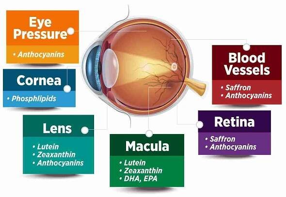 uvisionregain-eye2
