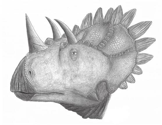 Regaliceratops