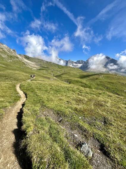 GGUT - Grossglockner ultra trail 🇦🇹 | @run_domi