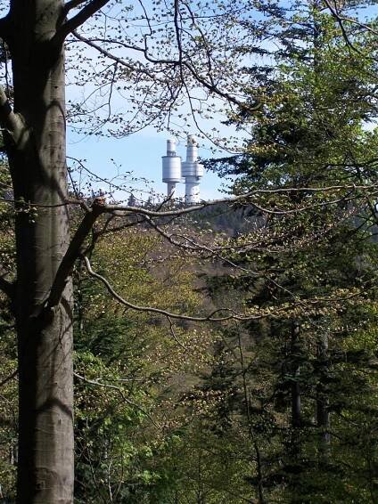 Výstup na Schwarzriegel (1079 m), Hohenbogen, Neukirchen beim Heiligen Blut, Šumava, národní park