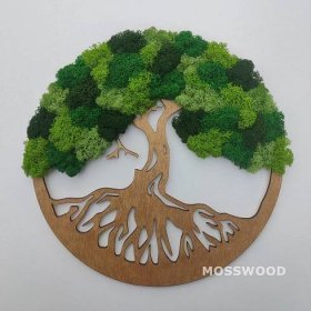 strom života