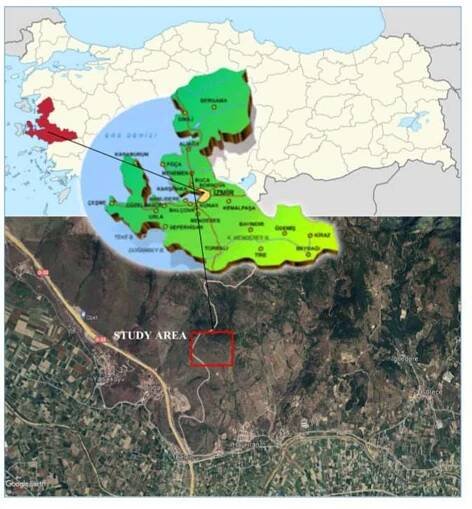Fig. 17. Location map of Doga potential quarry area 