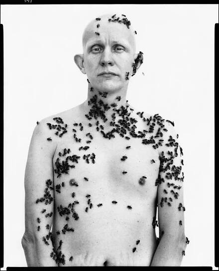 Avedon at 100: Celebrities select the famed photographer’s best works