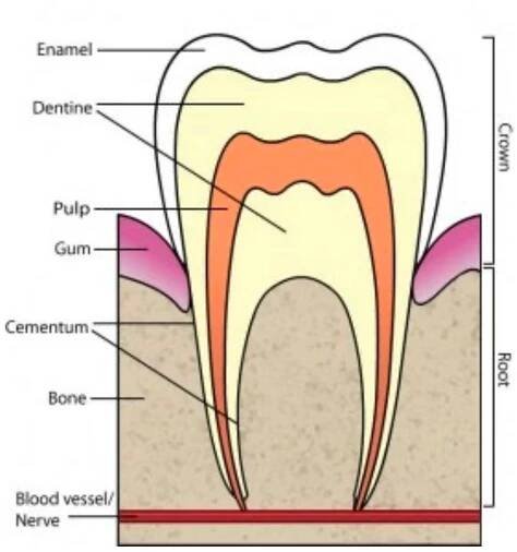 Dublin Vitality Centre specialises in 1 hour teeth whitening to remove stains from nicotine andsmoking. What is the best
