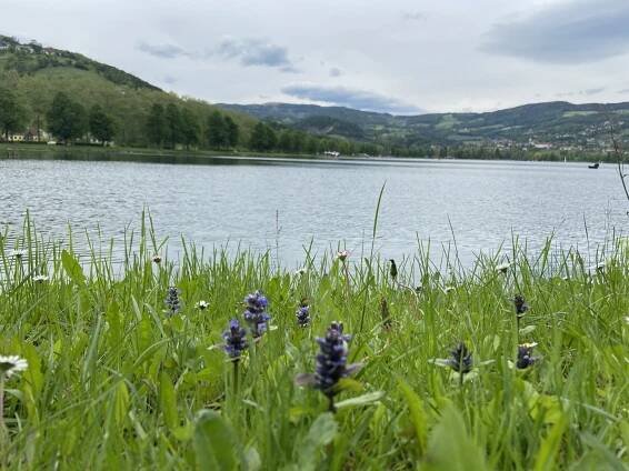 Jezero Stubenberg