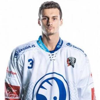 Michal Houdek - Stats, Contract, Salary & More