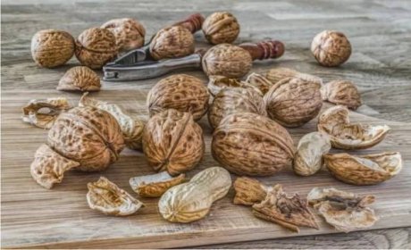Konzumace vlašských ořechů značně podporuje lidské zdraví