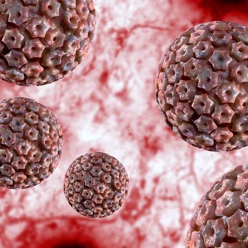 Herpes simplex typu 1 (HHV-1)