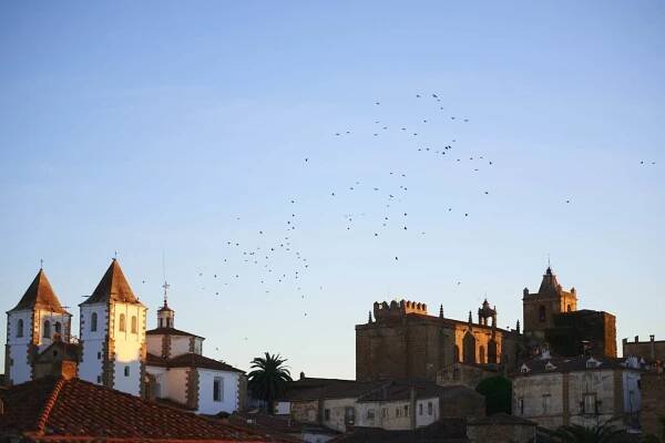 Monumental city of Cáceres | Turismo Cáceres
