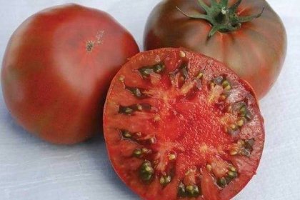 Jaké jsou nejsladší odrůdy rajčat, které jsou nejoblíbenější?