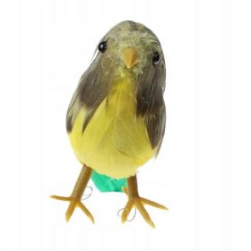 učební malí ptáci Realistické ptáci 5 Kód výrobce Evial-60000702