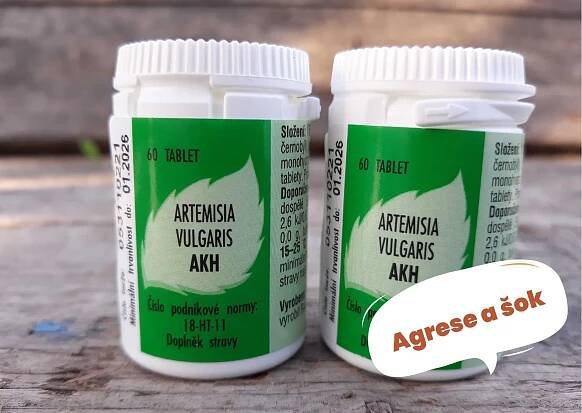 Artemisia vulgaris - Škola výcviku psů - Eshop