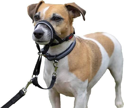 Company of Animals Halti Headcollar 0 | Výcvikové pomůcky | Zvěrokruh