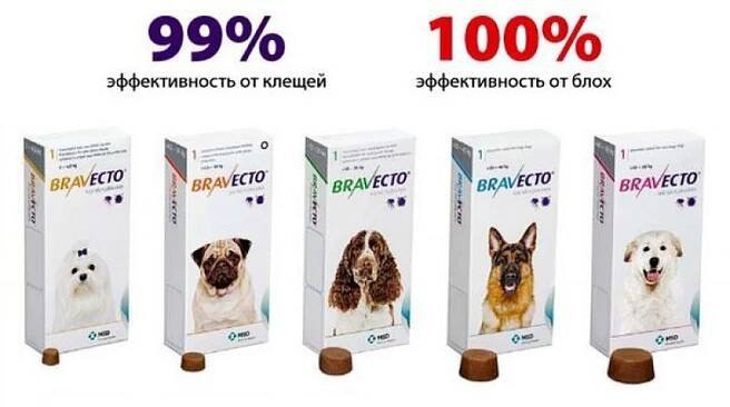 Bravecto pro psy