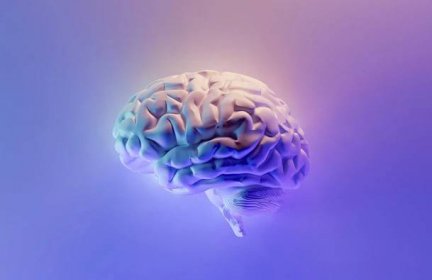 Mozky velmi kreativních lidí vytvářejí unikátní náhodná spojení, ukázala studie