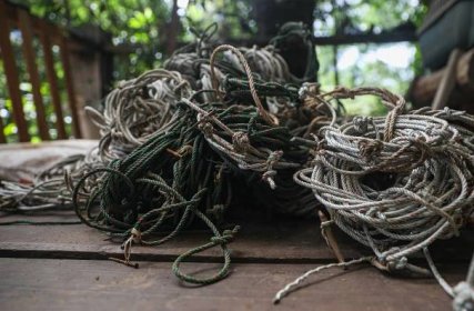 A pile of rope snares collected by community rangers in Phnom Thnout Wildlife Sanctuary