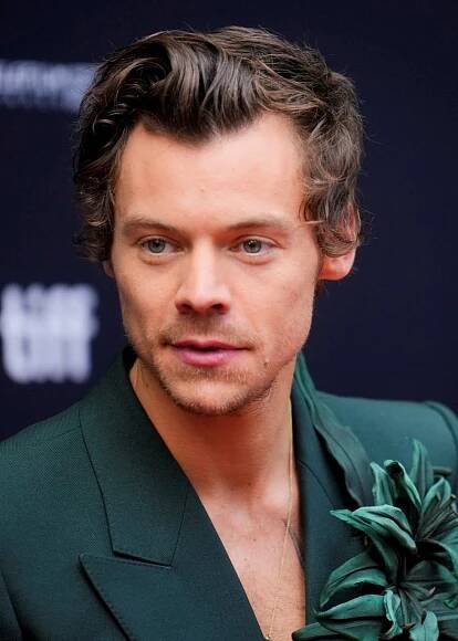 Harry Styles vyměnil Emily za jinou: Okouzlila ho kráska z kanibalské romance!