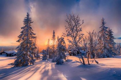 Tapeta na monitor | Zima | zima, stromy, sníh, foto, Jorn Allan Pedersen
