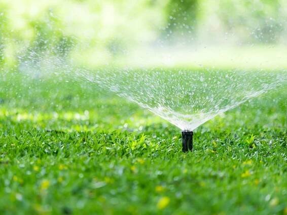 The Best Time to Water Your Grass for a Lush Lawn