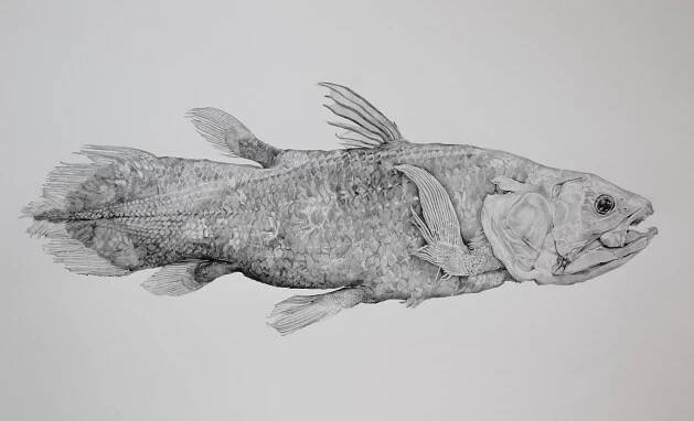 Tammy Mackay Printmaker