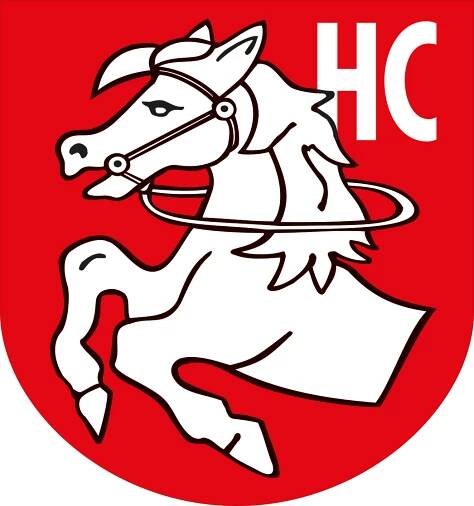HC DYNAMO PARDUBICE – Historická loga