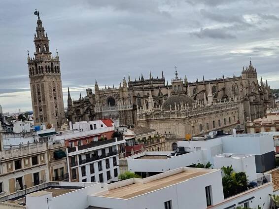 A Captivating Retreat at Querencia de Sevilla, Autograph Collection: An Authentic Andalusian Experience – Exotic or Not