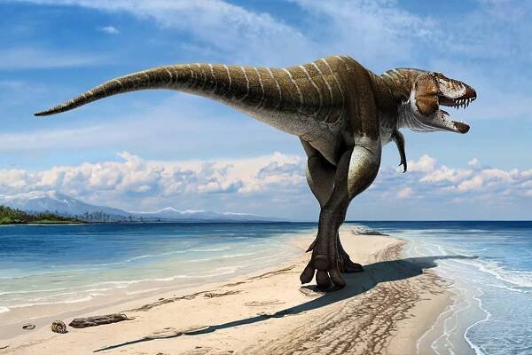 Lythronax Argestes
