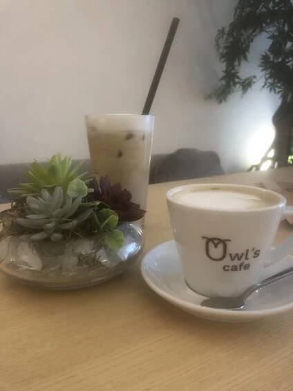 Owl's cafe foto 3