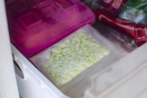 How to Freeze Broad Beans: 11 Steps (with Pictures) - wikiHow