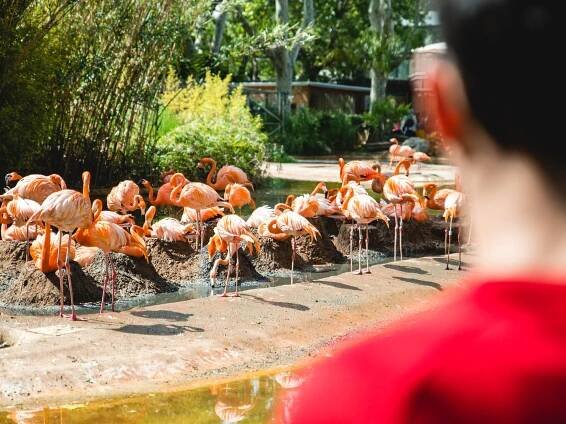 Zoo de Barcelona