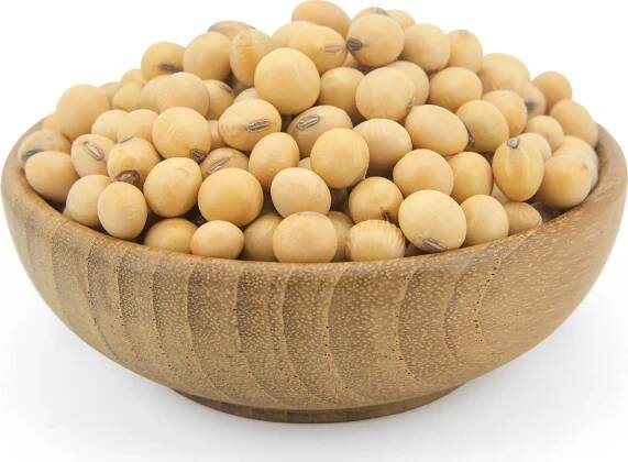 Les fruits du Paradis Sojové boby BIO 3 kg od 289 Kč