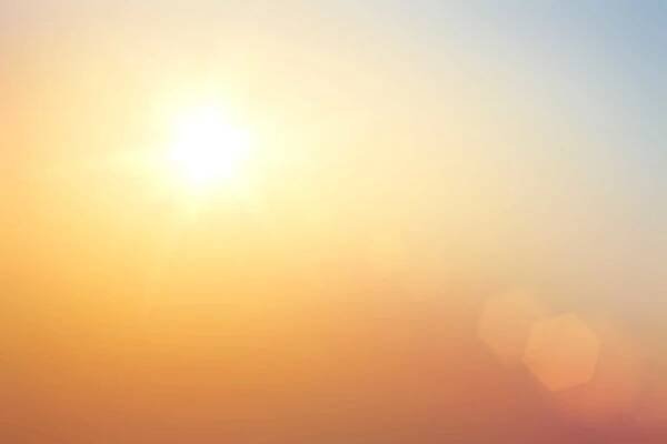 On Hanging Paintings In Sunlight
