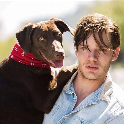 Who is Dominic Sherwood? Bio, Net Worth, Age, Height, Family, Tattoos, 23