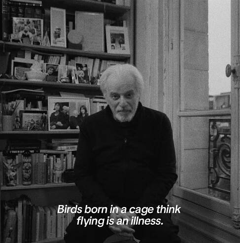 Alejandro Jodorowsky on Tumblr