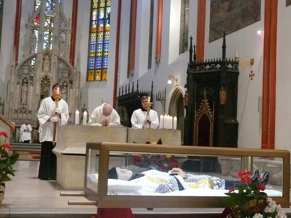 Sv. Vincent v Hradci Králové | Misie ve farnosti
