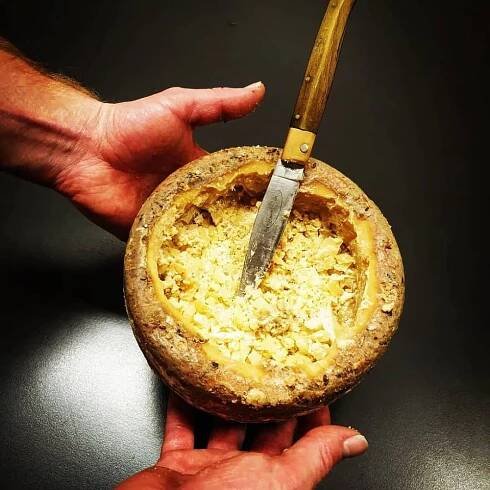 Casu Marzu rotten cheese