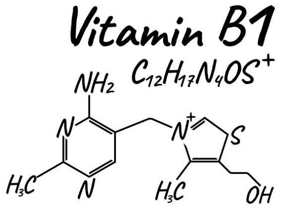 vitamin b1 štítek a ikona. logo chemického vzorce a struktury. vektorová ilustrace - formula 1 stock ilustrace