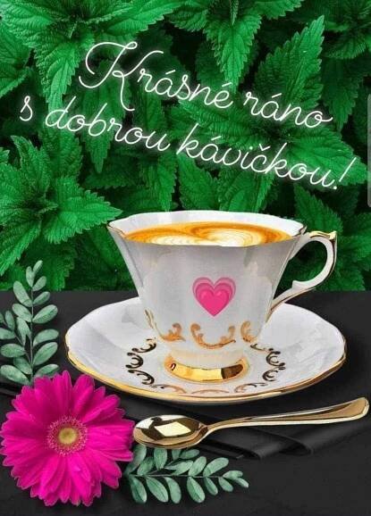 Spring Quotes to Brighten Your Day