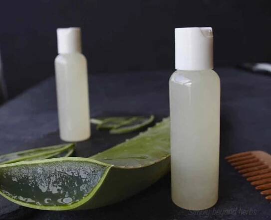 aloe vera shampoo ingredients