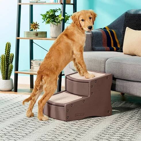 Pet Gear Easy Step II Cat & Dog Stairs.
