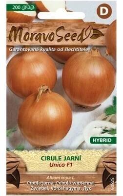 Cibule jarní UNICO F1 - hybrid, žlutá 60825 MORAVOSEED