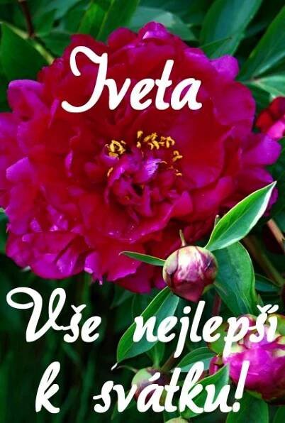 Název souboru=prani-k-svatku-obrazky-iveta.jpg
Velikost souboru=1163KB
Rozměry=1694x2504
Datum přidání=%04. %419 %2015