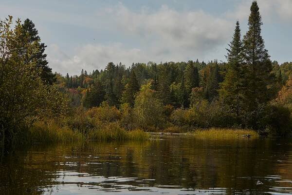 Adventures and misadventures - John Mitchell Photography