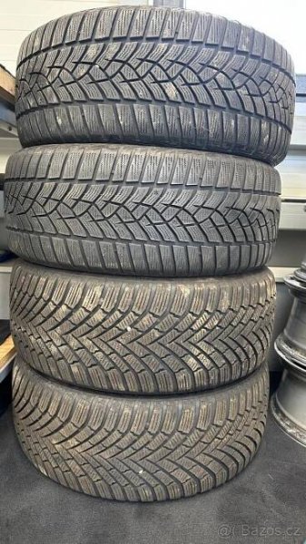 Zimní pneu 225/50/17