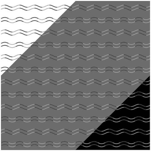 178 curvature blindness illusion 1