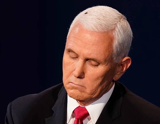 Here’s the Buzz on the Fly in Mike Pence’s Hair at the Vice Presidential Debate